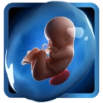 pregapp android application logo